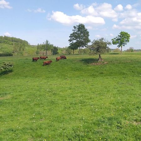 Harzer Bauernhof Appartement Thale Buitenkant foto