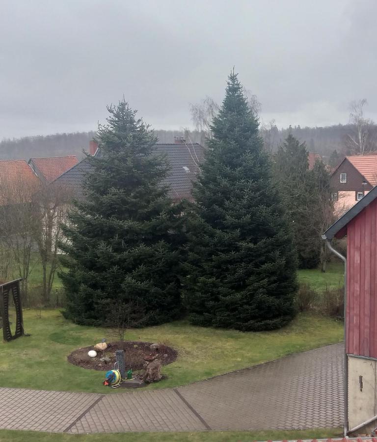 Harzer Bauernhof Appartement Thale Kamer foto