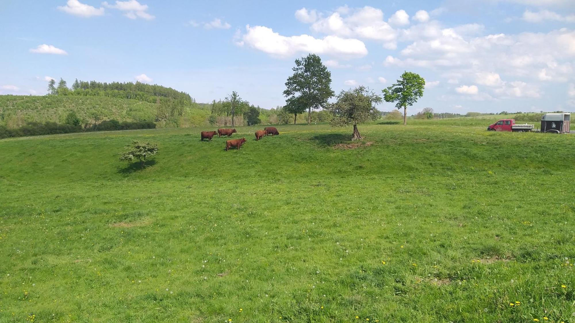 Harzer Bauernhof Appartement Thale Buitenkant foto