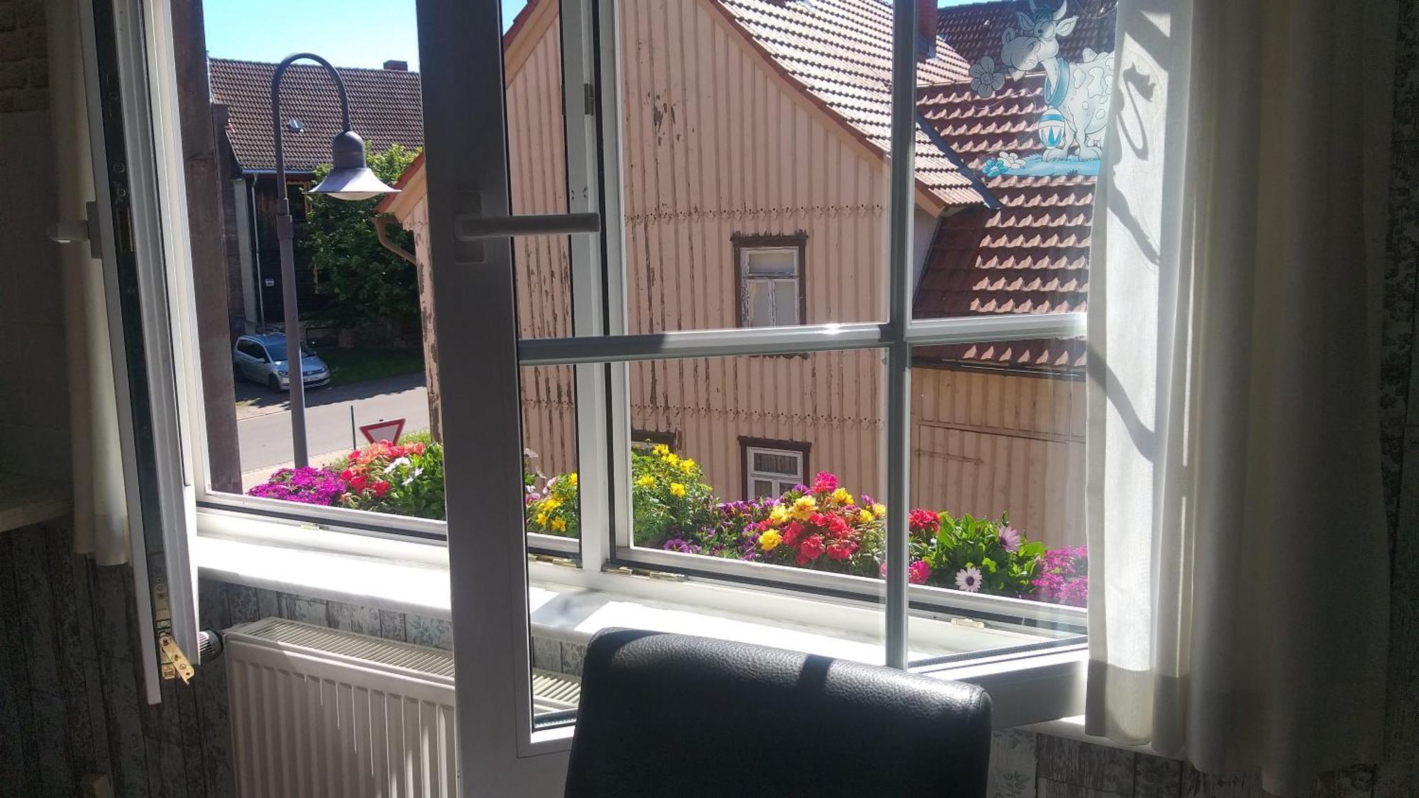 Harzer Bauernhof Appartement Thale Kamer foto